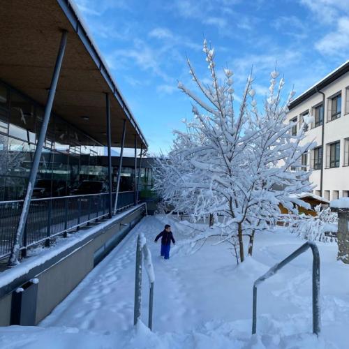 Flockdown in der Schule