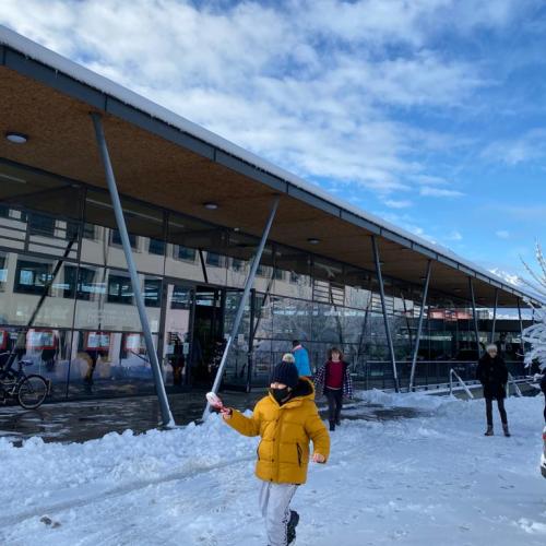 Flockdown in der Schule