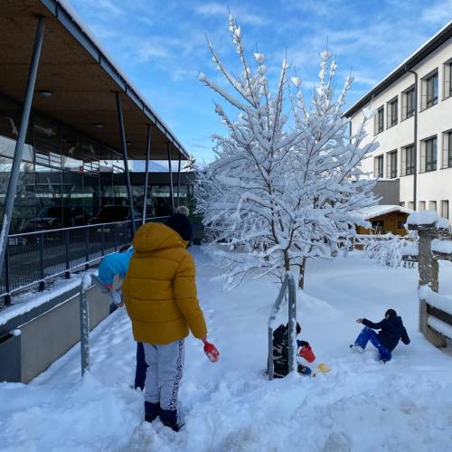 Flockdown in der Schule