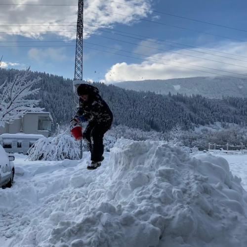 Flockdown in der Schule