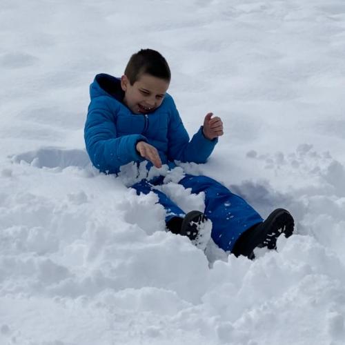 Flockdown in der Schule