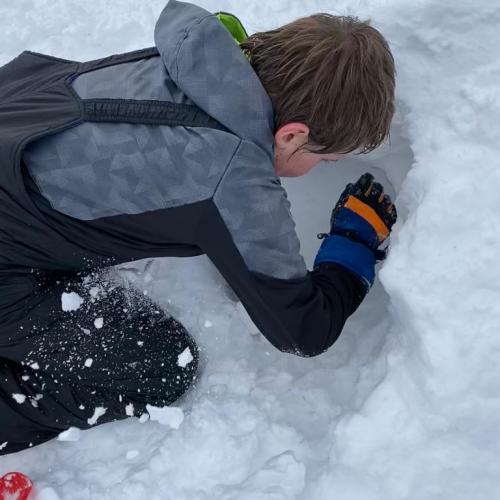 Flockdown in der Schule