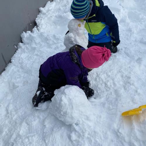 Flockdown in der Schule