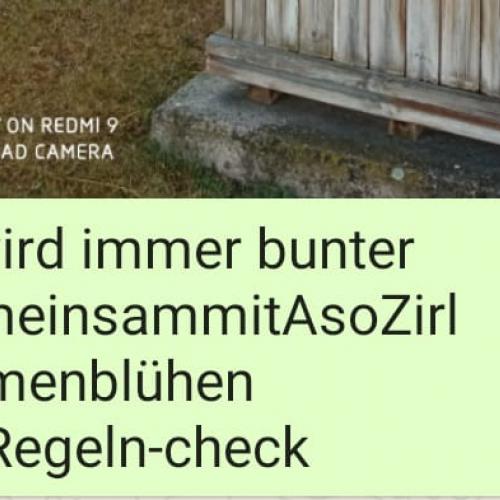 Zirl wird bunter