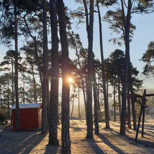 Der Winter is mir net zwider