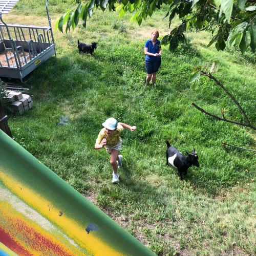 Besuch am Bauernhof 1d