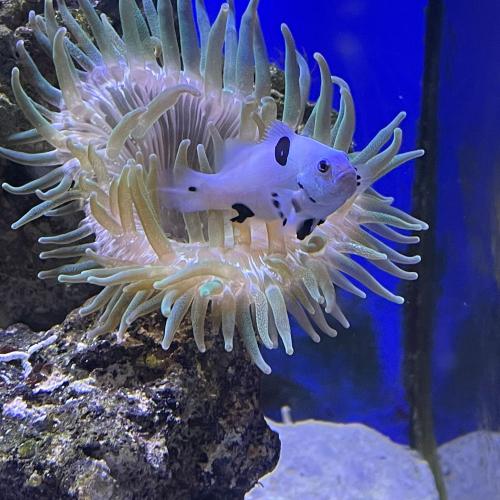 Sommerbetreuung 2023