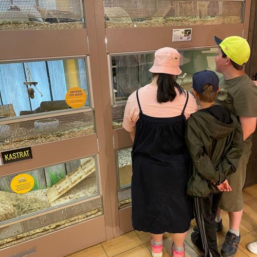 Sommerbetreuung 2023