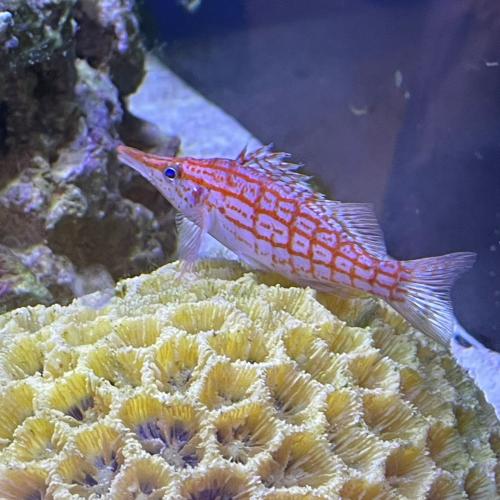 Sommerbetreuung 2023