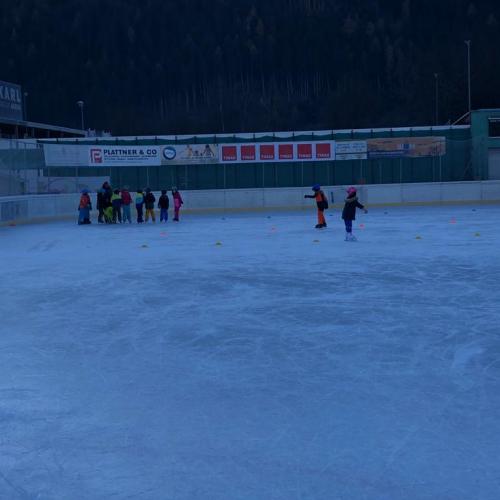 Eislauf 2d
