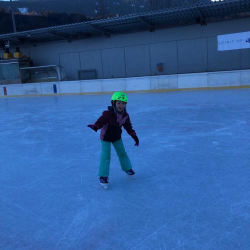 Eislauf 2d