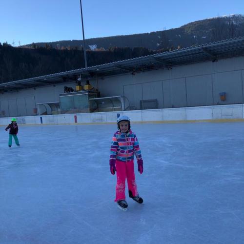 Eislauf 2d