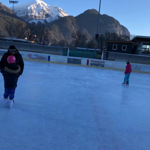 Eislauf 2d