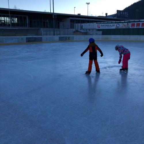 Eislauf 2d