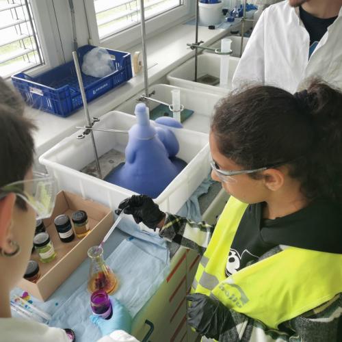 Ein sauberer Ausflug