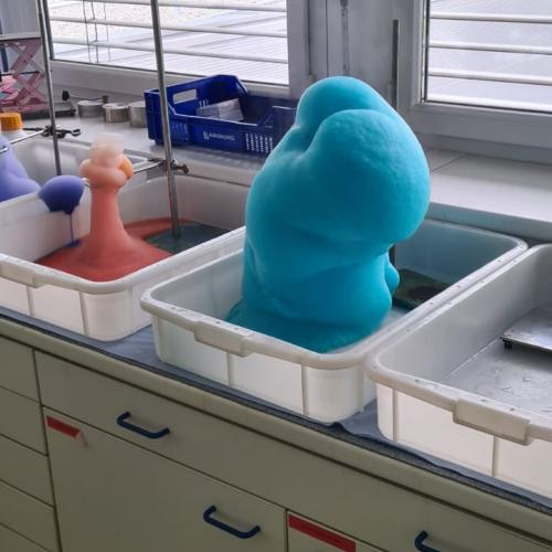 Ein sauberer Ausflug