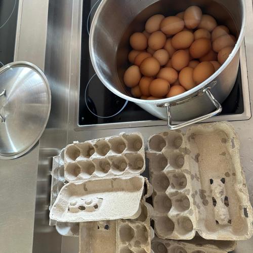 Gemeinsam am Nachmittag