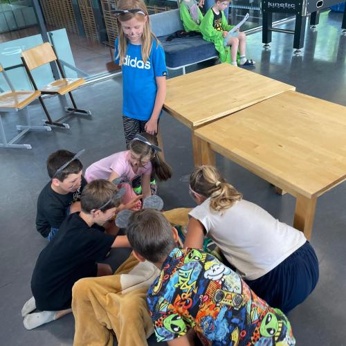 Der Löwe und die Maus