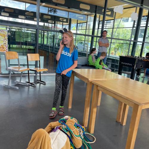 Der Löwe und die Maus