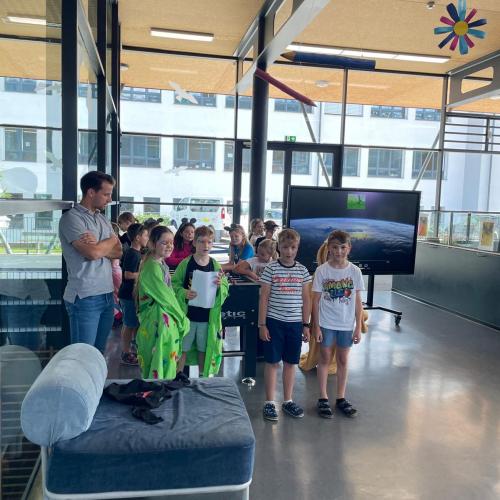 Der Löwe und die Maus