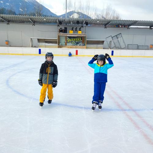 Eislaufen 2d und 3d