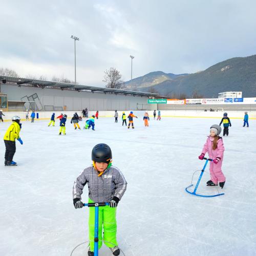 Eislaufen 2d und 3d