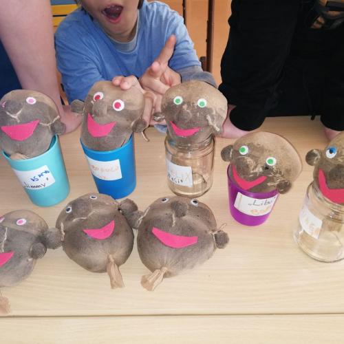 Frühlingsfrisuren E2