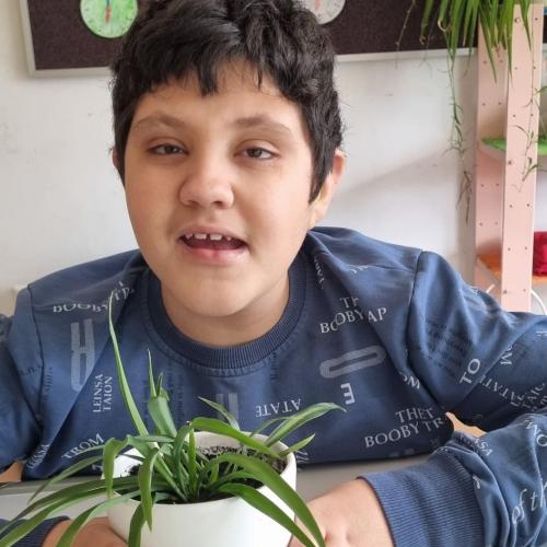 Pflanzensetzlinge E4