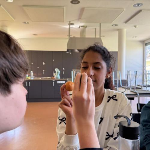 Rund ums Ei in der E3