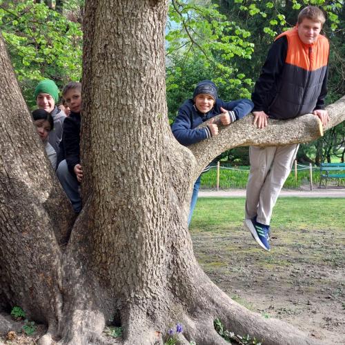 Konzert im Haus der Musik