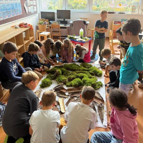 Werken mit Naturmaterialien 2d