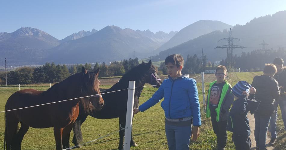 Besuch am Ponyhof - Nachmittagsbetreuung