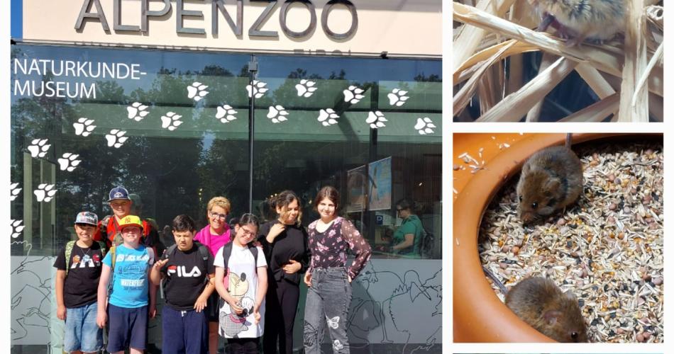 Alpenzoo