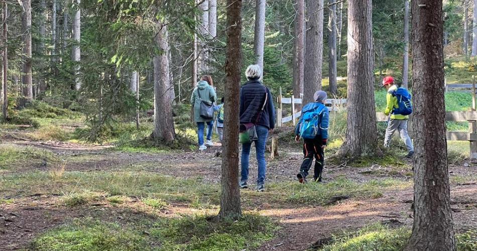 Im Wald